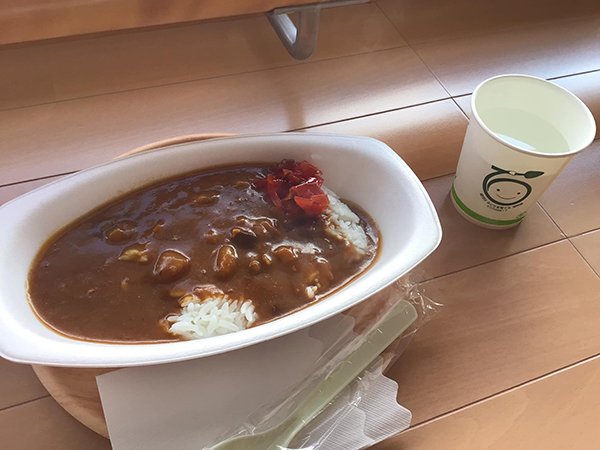 カレーでランチを済ませます