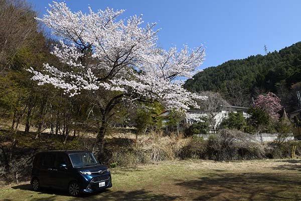 無料駐車場でモーニングすることに