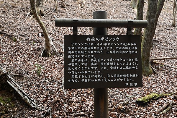 玉宮地区は甲州市（塩山駅）から数キロ上流にさかのぼります