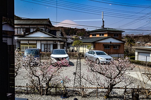 客席から見える富士山