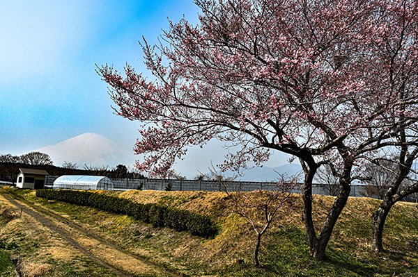 東名高速の側道から