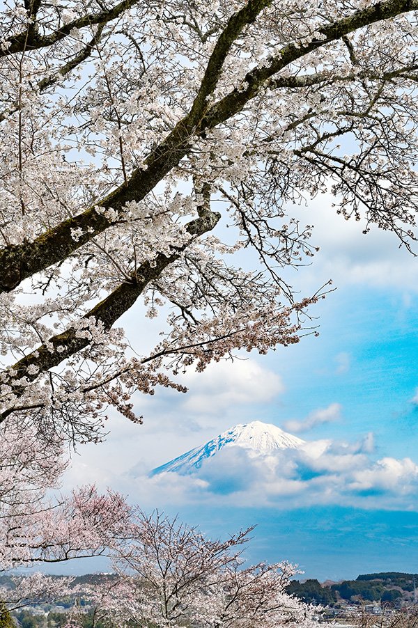 柚野興徳寺