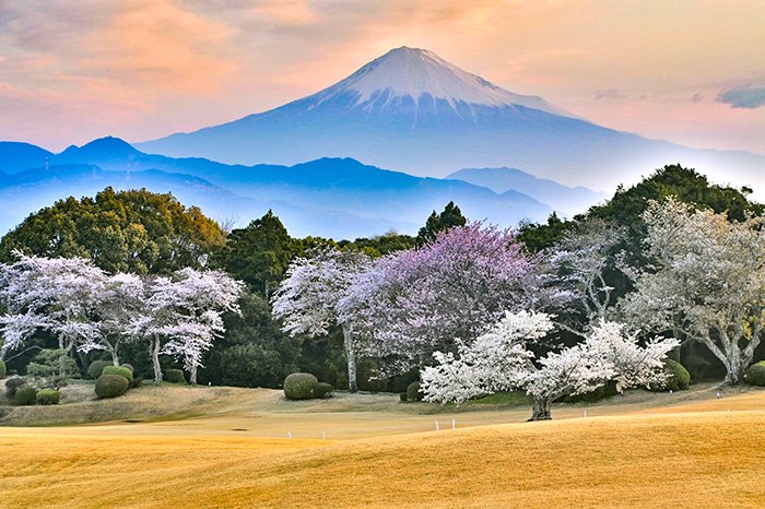 日本平庭園