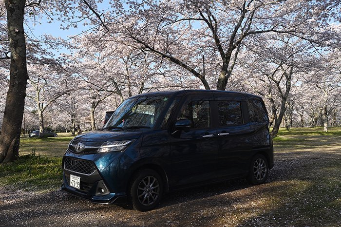 車と桜並木と富士山を撮るポジション