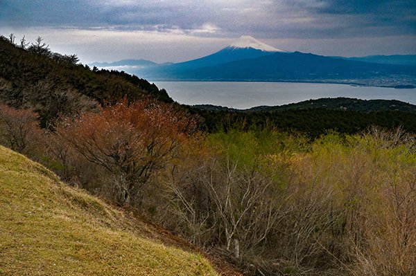 だるま山高原では富士山は見えていました