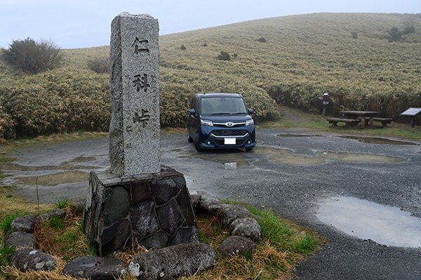 濃霧に囲まれ、かつ小枝を車にひっかけた