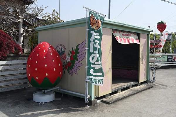 相磯農園江間店