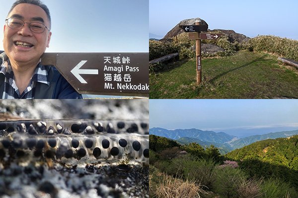 仁科峠