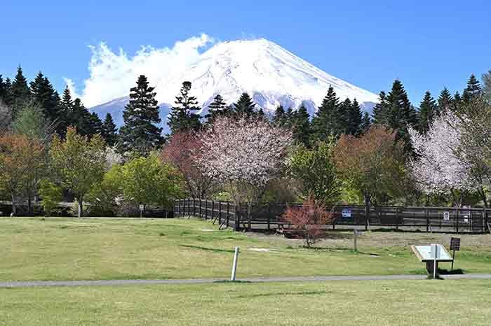 道の駅富士吉田、富士山ドーム