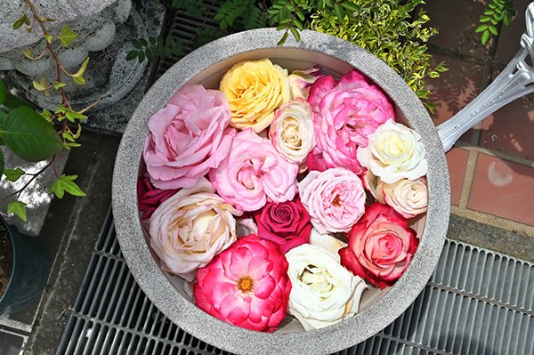 ５月は入場料300円です。