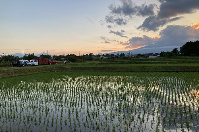 富士山は雲の中