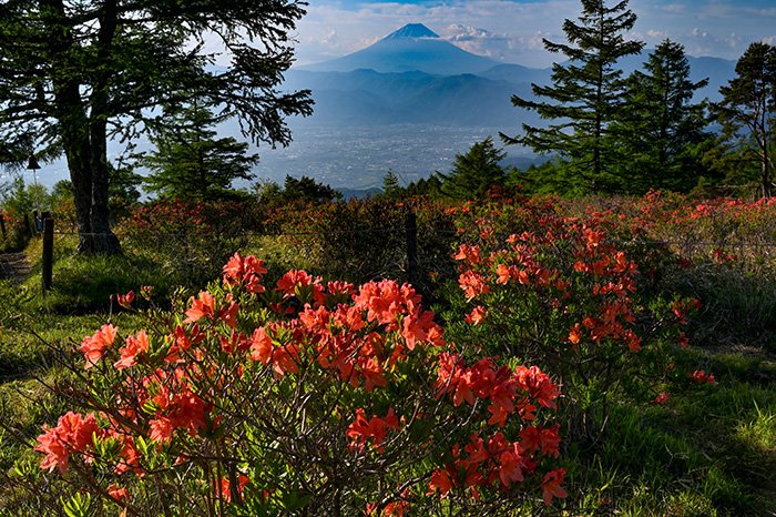 頂上直下、富士山現る