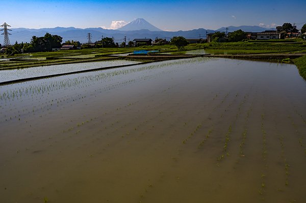 韮崎市の棚田