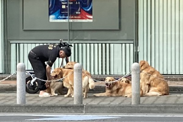 商工中金で追いつきました