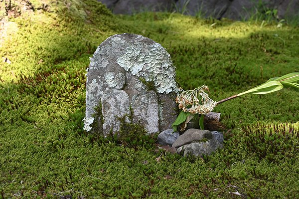 苔むす