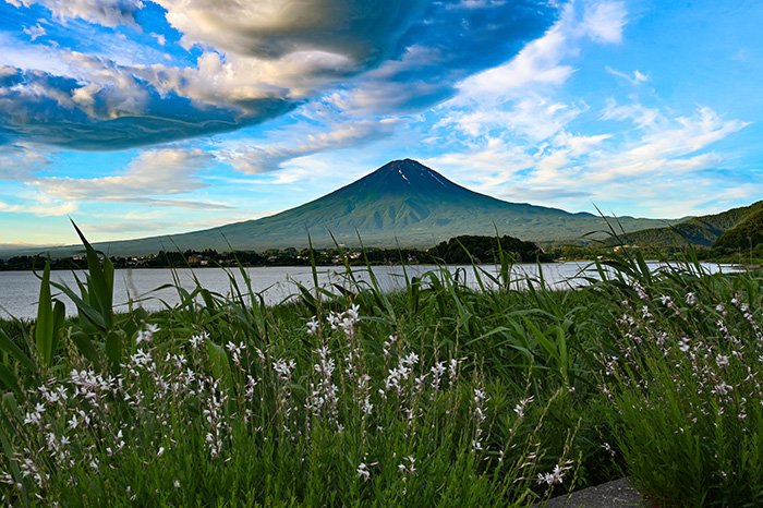 ガウラと吊るし雲