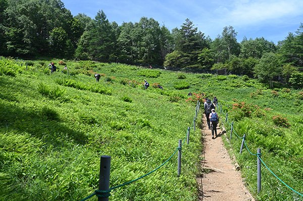 入笠山を目指す