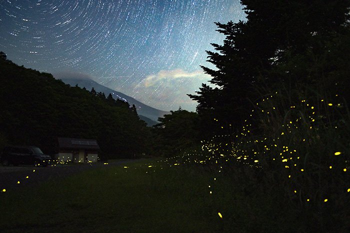 傘雲富士とヒメボタル