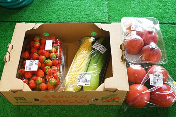 農産物販売書でお土産を買う
