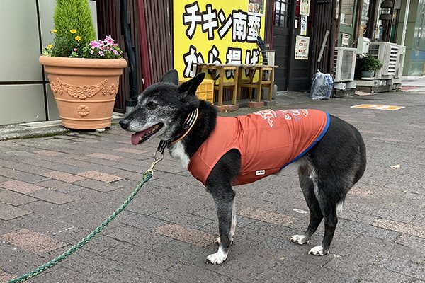奇跡ちゃん