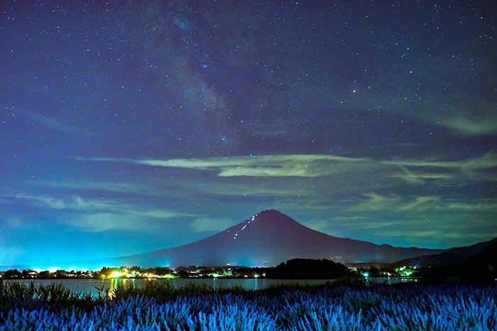 深夜のラベンダー畑