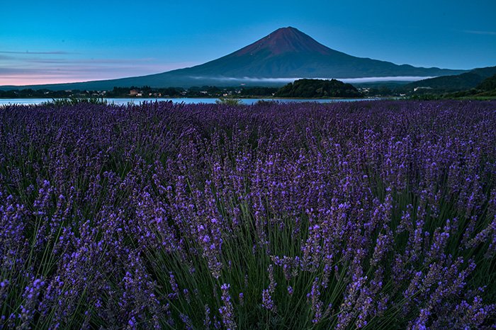 翌朝４時の風景