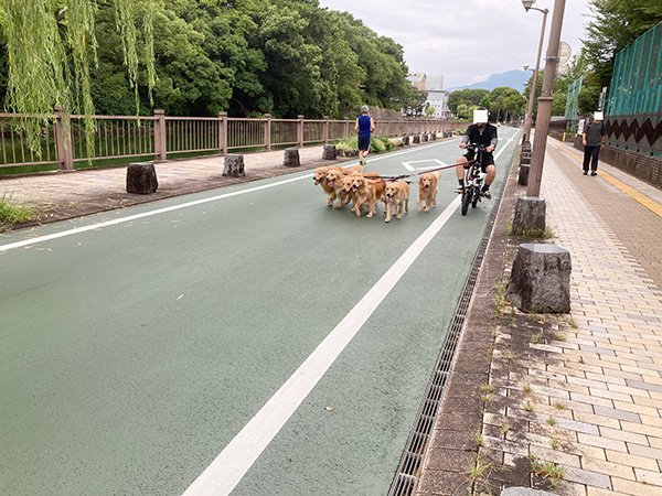 自転車散歩
