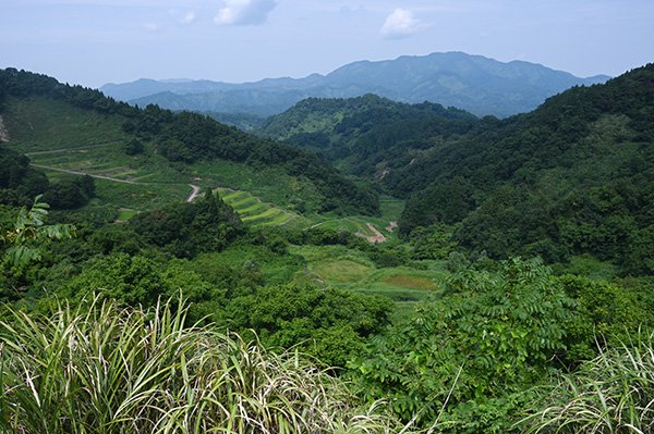 峠越えと清水棚田