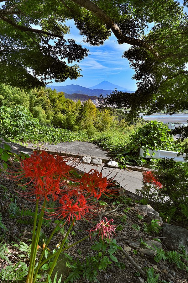 昨年、みつけた構図