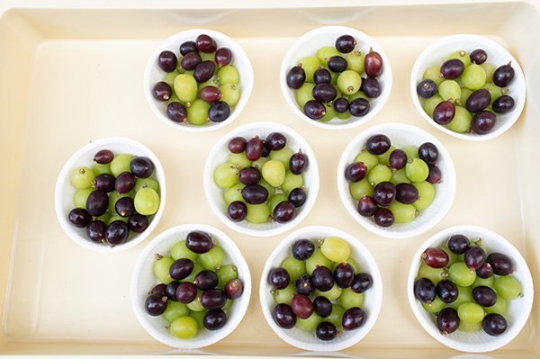 介山荘でブドウを買う