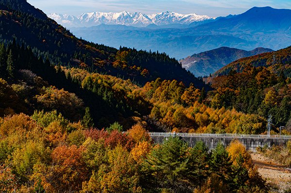 北アルプスを望む紅葉パノラマ
