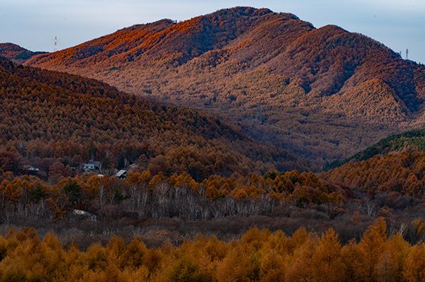 白樺湖への峠越え