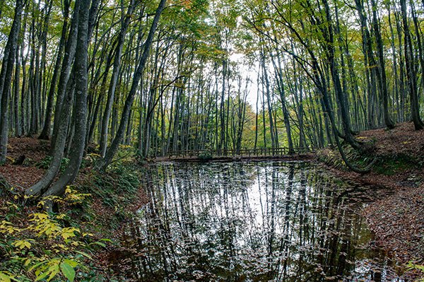 水面への映り込み