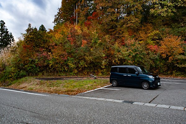 朝を迎えました