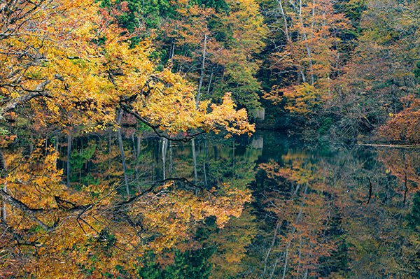 湖面への映り込み