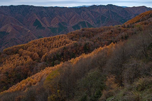 木曽山脈を望む