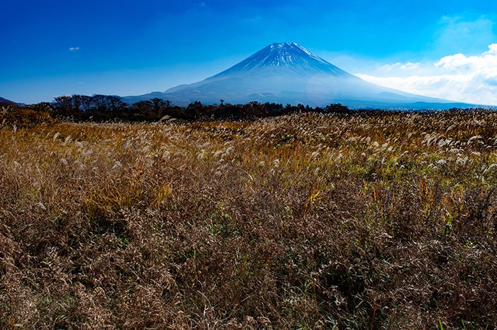 朝霧高原からの富士山