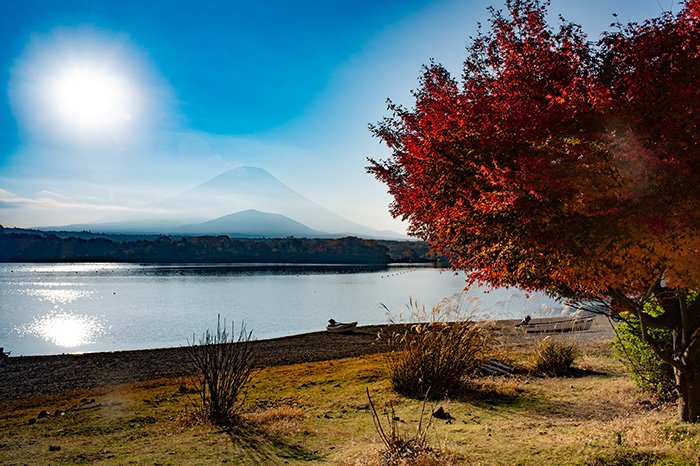 逆光対策が必要