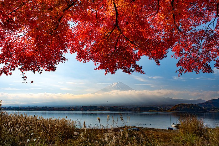 湖畔の入り江から紅葉富士
