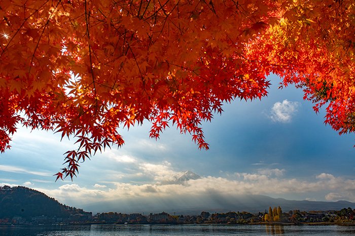 産ヶ屋崎からの富士山