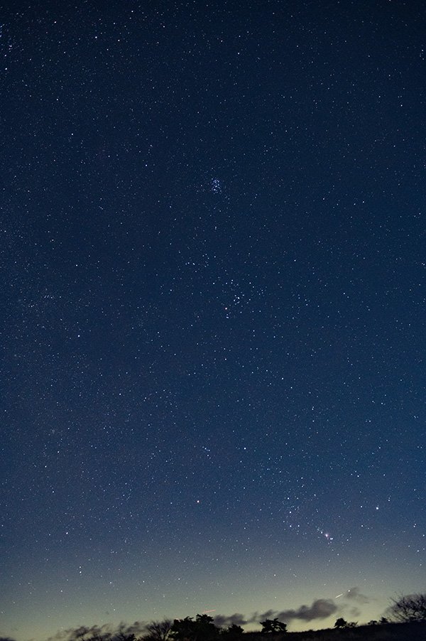 オリオン座のお出まし