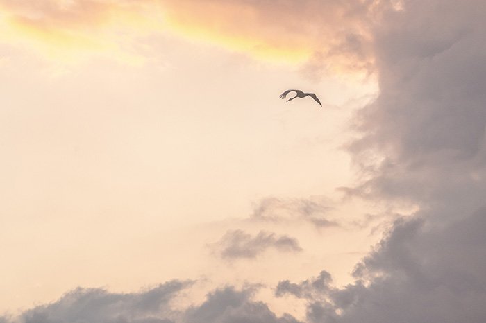 朝焼け空の遥か