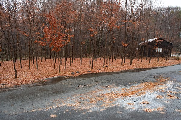 積雪と落葉の別荘地