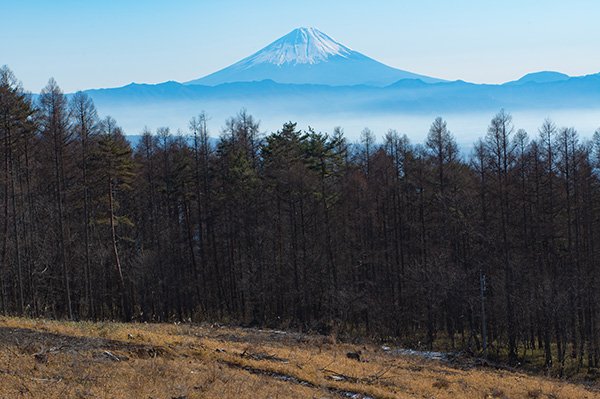 2日間ともよく晴れて気持ちの良い天気でした