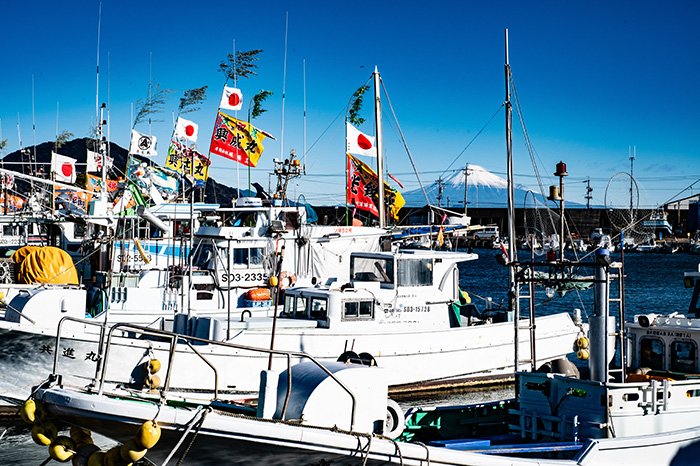 小川港からの富士山