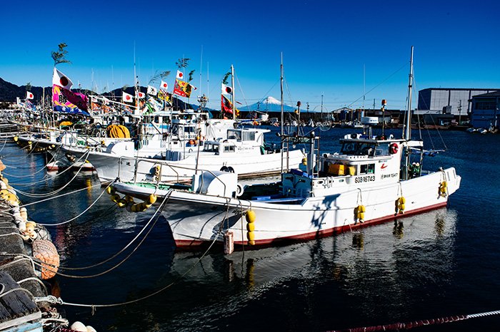 快晴(大漁旗と富士山)