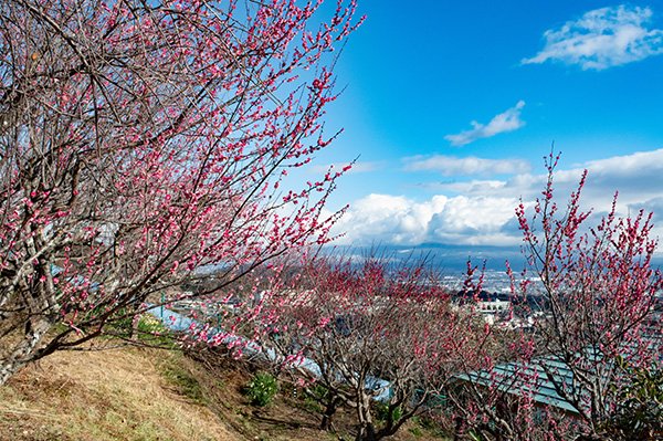 移動中に悪い予感的中