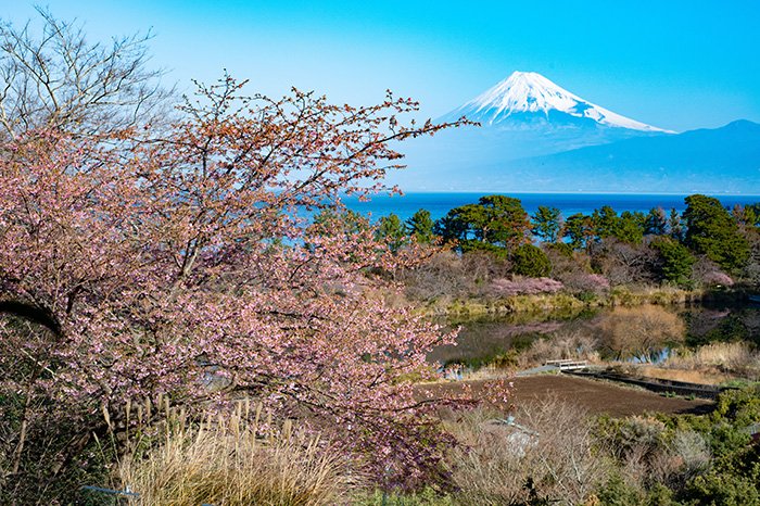 明神池ごしの富士山