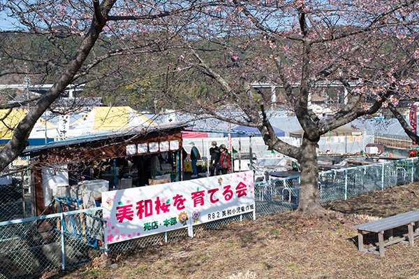 美和桜を育てる会