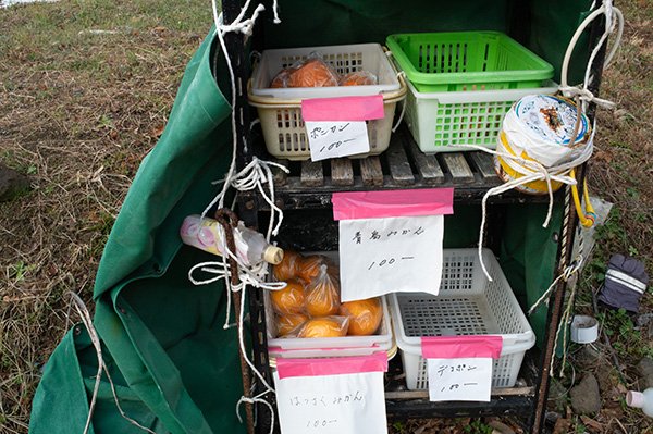 100円はっさくを購入して帰る